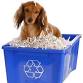 Shred for a Paws Cause
