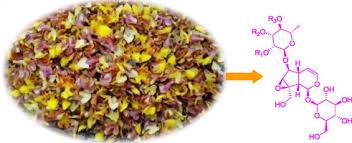 Improve appetite, useful in hallucination, piles, abdominal pains, burning sensations, fevers, 'tridosha' and urinary discharge. Acylated Iridoid Glycosides And Acylated Rhamnopyranoses From Gmelina Arborea Flowers Sciencedirect