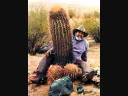 Video kostenlos youtube lustige tiervideos lustige bilder von tieren bilder tiere lustig lustige katzen zum totlachen lustige videos. Lustige Bilder Zum Totlachen Youtube