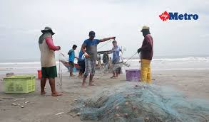 See more of malam carbooth pantai batu hitam on facebook. Ikut Udang Naik Pantai