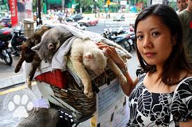 Kelakuan kucing itu membuatkan wanita itu dan juga suaminya turut menitiskan airmata melihatkan keadaan dan nasib kucing itu. Bantu Kucing Terbiar Jarey Cat Lovers