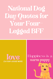 Buy a pup and your. Funny National Dog Day Quotes For Your Four Legged Bff Darling Quote