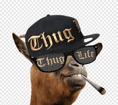 The man, the myth, the meme. Thug Life Internet Meme Video Snoop Dogg Celebrities Hat Png Pngegg