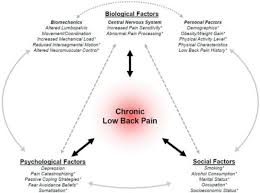 Image result for Low Back Pain Management