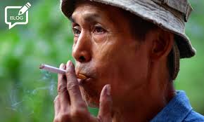 Barnaby Page, Author at TobaccoIntelligence