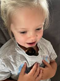 It's all about the cuddles with chicks this morning 😊