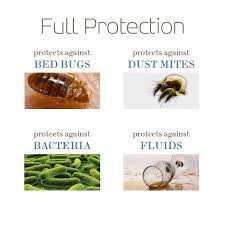To treat fleas with this natural remedy take some salt (finely ground works best) and sprinkle it all over your carpets in each room. Saferest Premium Box Spring Encasement 100 Waterproof Bed Bug Proof Hypoallergenic Multiple Sizes 360 Secure Micro Zipper 10 Year Warranty Walmart Com Walmart Com