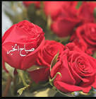 أجمل الصور