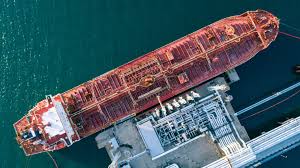 Image result for Tan 2024 Fleet