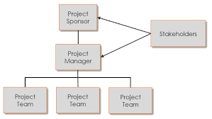 The Role Of The Project Team
