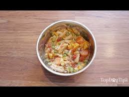 homemade dog food for puppies recipe