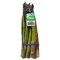 Image result for Asparagus natalensis