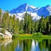 450 east tudor road anchorage, alaska 99503. Https Encrypted Tbn0 Gstatic Com Images Q Tbn And9gcqliyccrlqjaghqefz2xqaof3cjdzgytt 1hprzc71mmqm2xo2d Usqp Cau