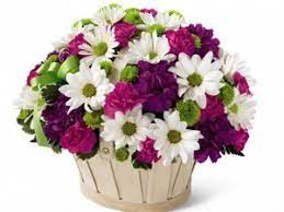 We did not find results for: Orillia Delivery Orillia Flower Shop Family Owned For 60 Years Evans Flowers