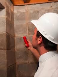 Bed bug, termite, mosquito & more! Termites Inspection Removal Termite Company Raleigh Cary