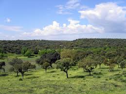 Solicita m�s informaci�n sin compromiso en www.venuesplace.com. Castillo De Vinuelas Map Community Of Madrid Spain Mapcarta