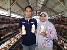 We did not find results for: Solusi Terkini Cegah Nd Dan Ib Poultry Indonesia