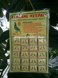 Sedang mencari atau ingin membeli burung dara berkualitas dengan harga yang terjangkau? Jual Kamlang Merpati Jamu Ampuh Bikin Cepat Giring Keket Di Lapak Anugerah Poultry Shop Bukalapak