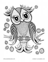 Either way, learn more about these beloved birds with these 10 fun facts: Owls Coloring Pages For Adults