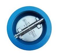 Dual Plate Check Valve for Sale