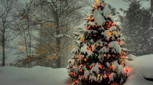 Shutterstock.com sizing the walls sizing allows you to maneuver the paper into position on the wall without tearing. Holidays Wallpapers Full Hd Hdtv Fhd 1080p Desktop Backgrounds Hd Pictures And Images
