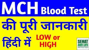 Mch Blood Test Kya Hota Hai Mch Blood Test Low Or High Meaning Normal Range Full Form In Hindi Youtube