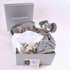 Amazon Com Elephant Themed Baby Gift Basket Save The Elephants 6 12 Months Baby
