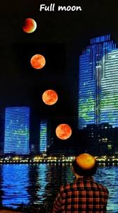 Full Moon Funny Pictures Meme Full Moon Best Baldness Xdpedia Com