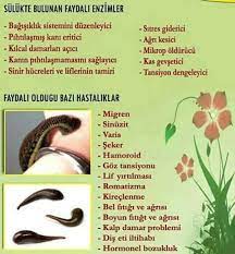 Detaylar Www Haccame Net Randevu 0553 553 55 65 Healthy Life Health Tips