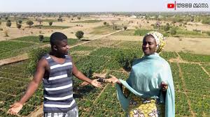I hereby compensate you with five hundred and fifty thousand nara (550.000) so contact him right now, ibrahim suleiman on the following nunber (+2347033447172) )in charge of my transactions at cbn. Meet 24 Year Old Halima Zawiya Who Owns A Farm In Kano Nigerian Tracker