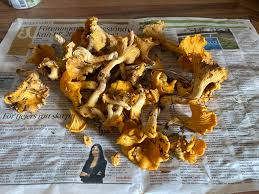 Image result for site:byggahus.se ekonom