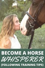 Want To Become A Horse Whisperer In This Guide I Break Down How I Get My Horse To Follow And Come To Me Without A Lead Horse Exercises Horses Horse Training