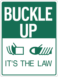 There Has Been Conversation About The New Buckle Up Laws In Springfield Check This Link Out To Learn More About Them With Images Extended Rear Facing