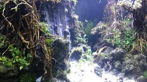 Underwater Waterfalls Aquascaping Aquascape Planted Aquarium Aquarium Design