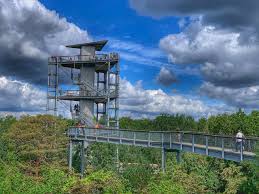 Der baumkronenpfad ist sicherlich eine reise wert. Baumkronenpfad Beelitz Heilstatten Berlin Ausflugsziele Peterstravel