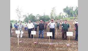 Untuk menghasilkan kualitas bawang merah yang baik harus mengikuti proses penanganan pasca panen bawang merah yang baik dan benar yang terdiri dari beberapa proses yaitu panen, pengeringan sementara (curing), pengeringan lanjutan, pembersihan, sortasi, pemotongan daun, grading. Pusat Penelitian Dan Pengembangan Hortikultura