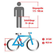 Galano Mountainbike 29 Zoll Hardtail Mtb Fahrrad Ravan 24 Gange Bike 3 Farben Schwarz Grun 48 Cm Amazon De Sport Freizeit