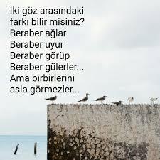 Tespitin Dibi Alinti Sozler Guzel Soz Basili Posterler
