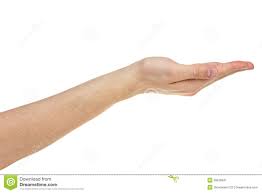 images?q=tbn:ANd9GcTO7HEOuKvEf9slPApXeehgAySWReilGLsmfaMICvYF87--ZAyzUQ