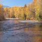 Meeting and Presentation — Shuswap Naturalist Club event image
