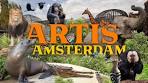 ARTIS Amsterdam - a must-see capital zoo? | Zoo Review - YouTube