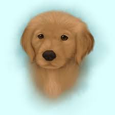 Profile for Triple P for Piper