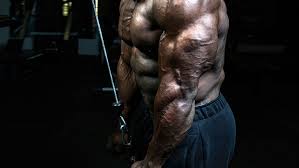 He entered his first competition at the age of 13 in 1985 while also pursuing his passion for powerlifting. Enormous And Strong Legs The Mountain Dog Way T Nation