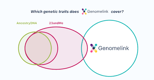 Which Genetic Traits Are Offered On Each Genetic Testing