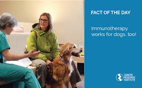 Symptoms of stomach cancer in dogs usually develop gradually over weeks or months, with vomiting being the most common. Immunotherapy Works For Dogs Cancer Research Institute