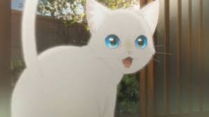 Amor De Gata Ronroneas O Prefieres Hablar En 2020 Gato De Sailor Moon Amor De Gatos Personajes De Anime