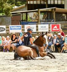 Pin By Alyssa G On Wilson Sisters Wilson Sisters Horses Horse Love
