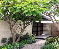Check spelling or type a new query. 10 Trees To Plant In Backyards Big Or Small Homes To Love