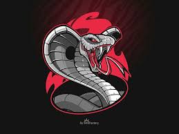 Paling populer 30 logo guild ff keren polos 810 gambar logo guild ff keren polos terbaik gambar keren download skull m online logo logo desing logo tutorial. Cobra Logo Keren Gambar Naga Desain Logo