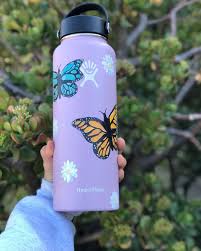Ally Broker On Instagram Butterflies N Daisies Art Painting Paint Hydro Hydroflask Hydroflaskpainting Exp Water Bottle Art Flask Art Hydro Painting